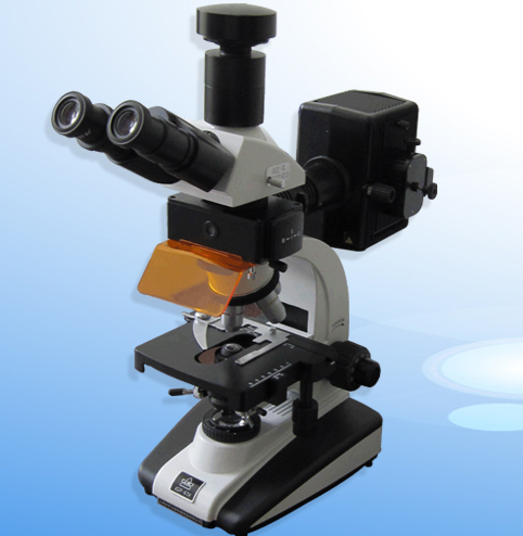 正置荧光显微镜　XSP-63X价格