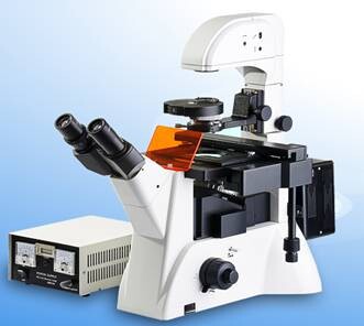 倒置荧光显微镜  XSP-SG-63XD价格